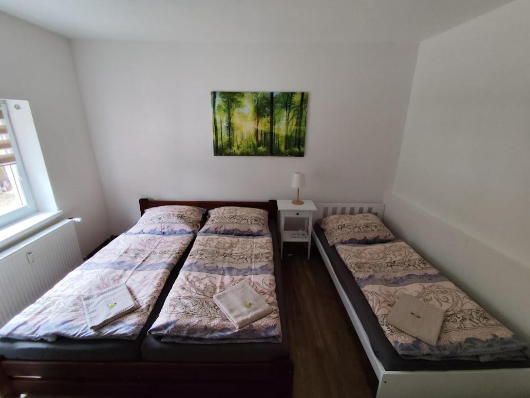 Apartman Terezka Jílové Buitenkant foto