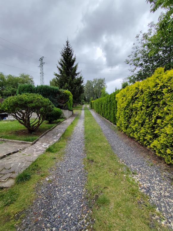 Apartman Terezka Jílové Buitenkant foto