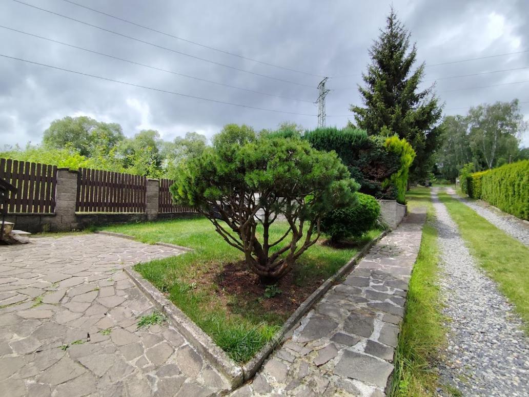 Apartman Terezka Jílové Buitenkant foto